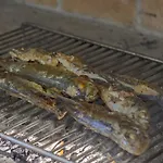 Gornje Starine