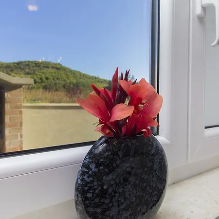 Gornje Starine 公寓 Tribalj