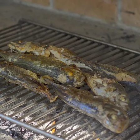 Gornje Starine